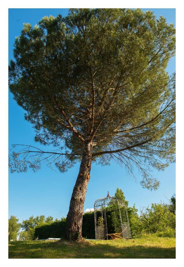 Chambre Soignee Et Accueillante A La Campagne - Ch Bleue L'Honor-de-Cos Exteriör bild